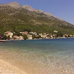 Srsen * Kuciste