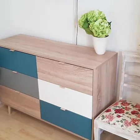 Apartment Srsen *