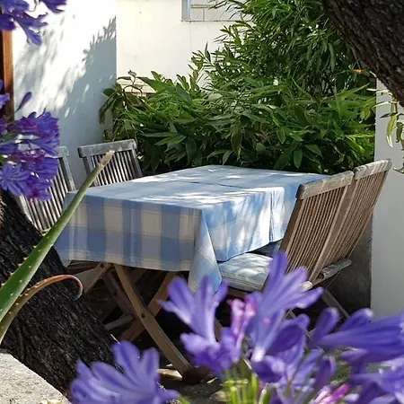 Srsen Apartment Kuciste